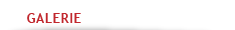 GALERIE